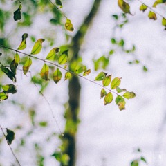 _IGP7514