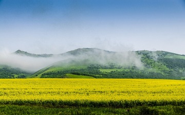 _DSC0050