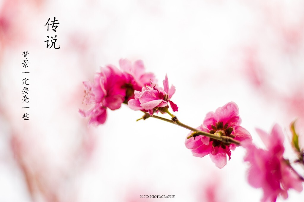 网上说，背景明亮就很好……