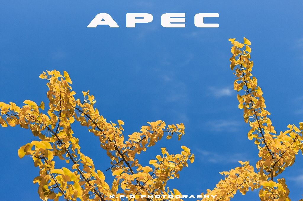 有一种蓝叫做APEC蓝
