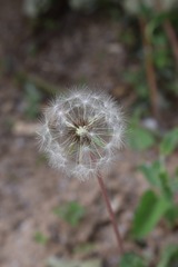 3609249