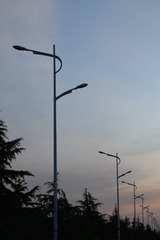 3626925