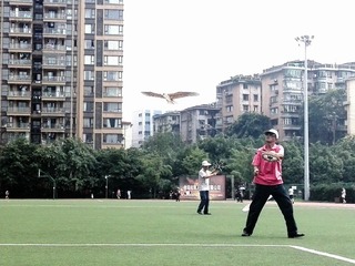 IMG_20140620_154309_1