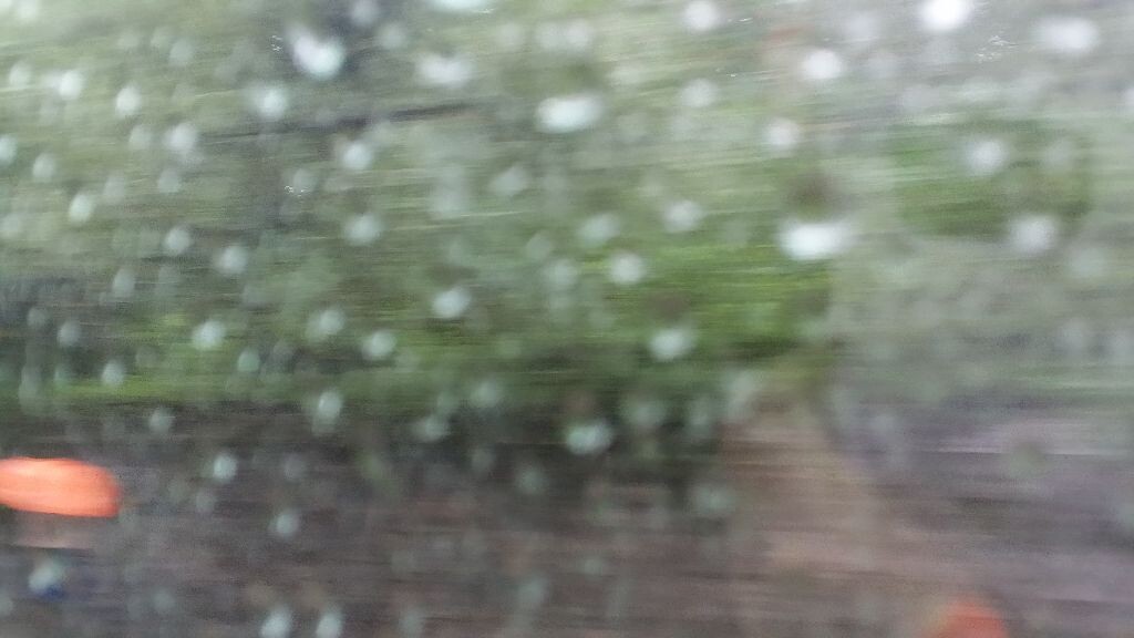 雨中