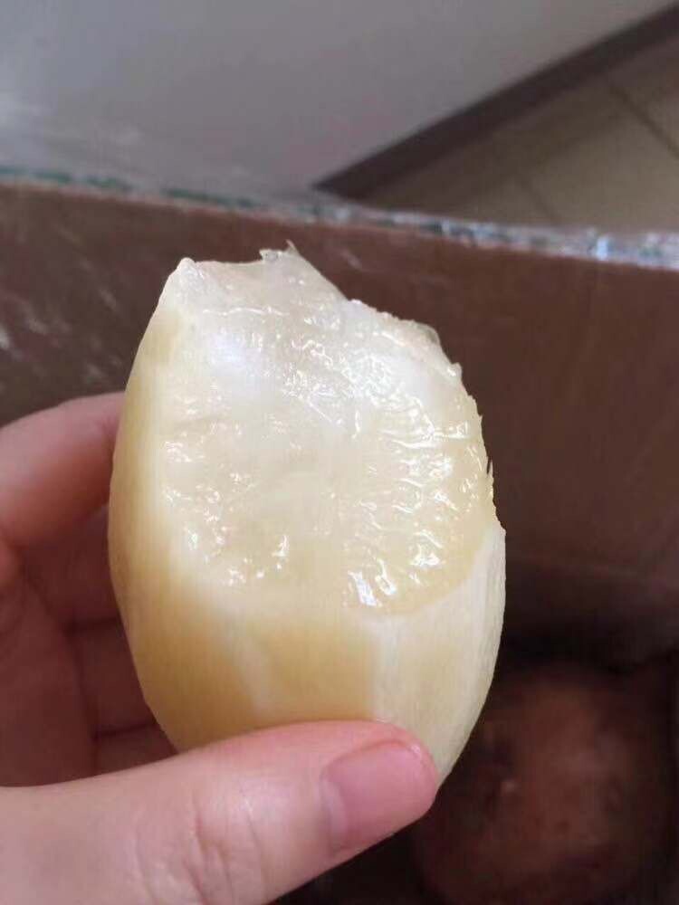 国内买象牙制品犯法吗