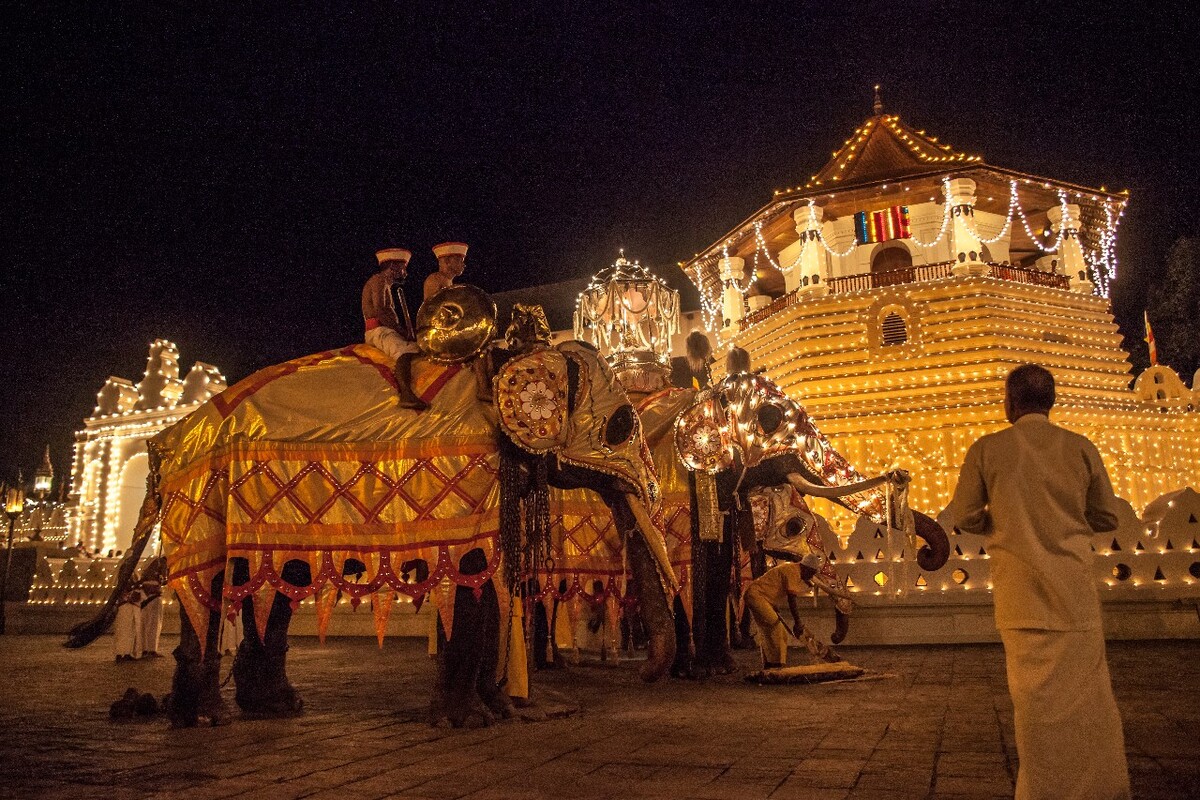 佛牙寺与身披彩衣的大象
