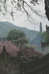 P1022853