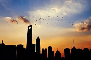 魅力申城