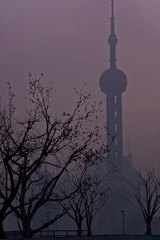 上海清晨1