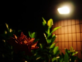 P71002800000