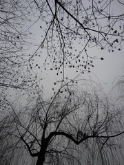 DSC00553.JPG