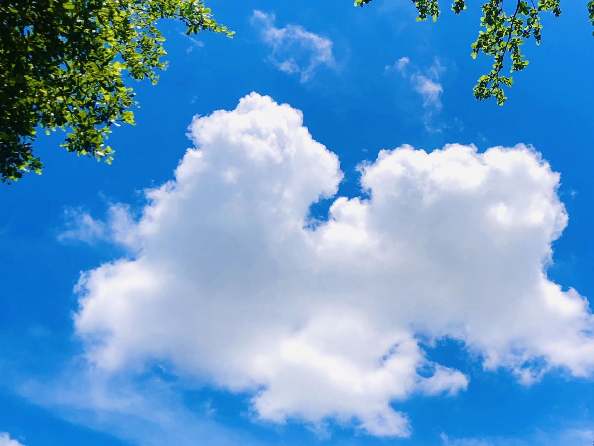 深圳最近的天空云朵很厚天空很蓝晚霞很红简直不要太好看