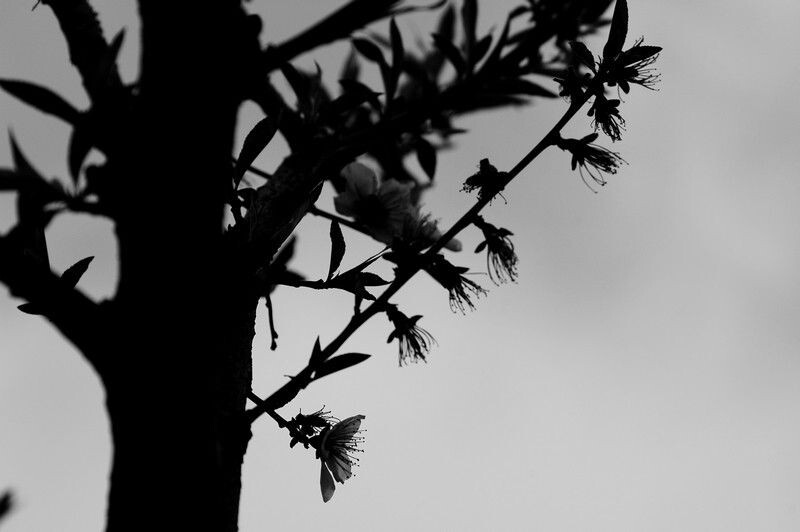 DSC_1042<br />
