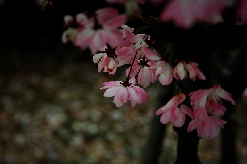 DSC_1024<br />
