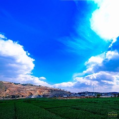 DSCF0587-1