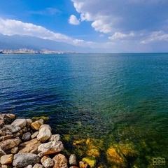 DSCF0590-1