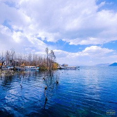 DSCF0592-1