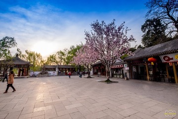 DSCF1338-1