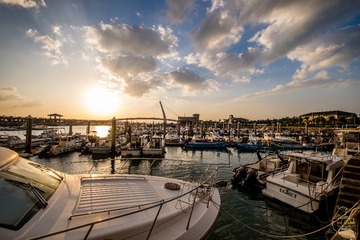 _DSF3239-1