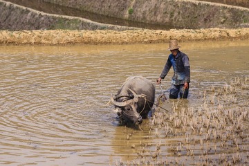 IMG_0193_1
