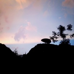 MA201408261941070020-03-025000000