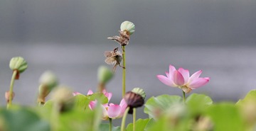 艺术感 灵异一把~