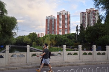 菠萝和火龙果