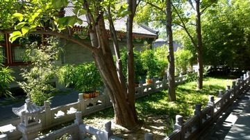 南门口樱花园