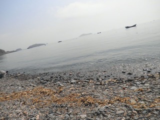 P3261524