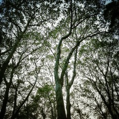 20150416_182227_1