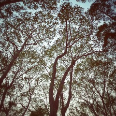 20150416_182229_1