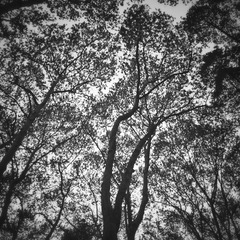 20150416_182229_2