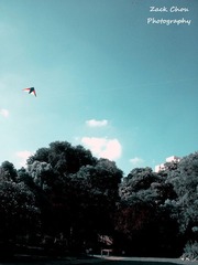 夏天，鲁迅公园