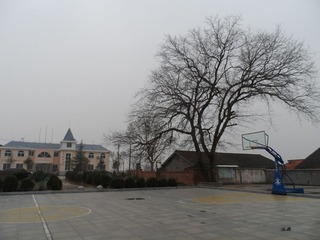 SAM_0060_