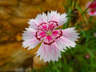 SAM_0544