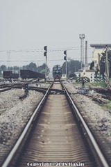 2182896