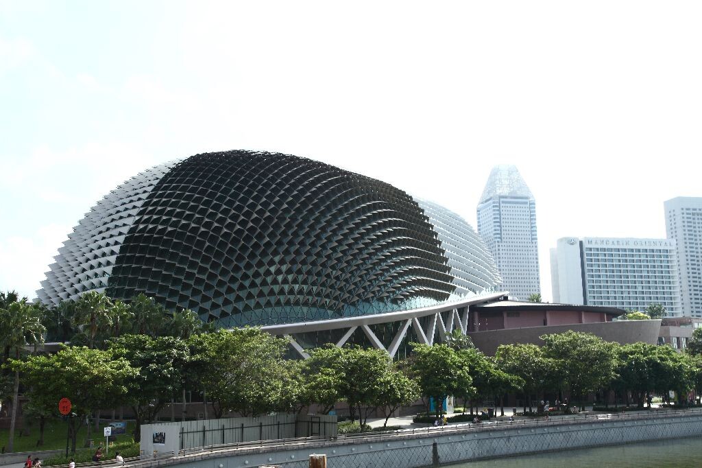 波萝一样的房子