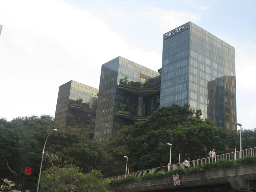 设计很特别的哟,花园、植物