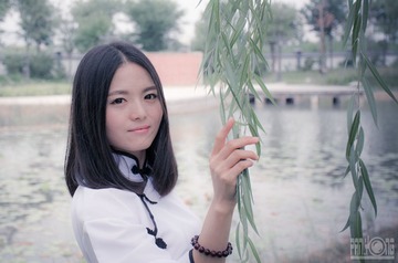 PAN_8227