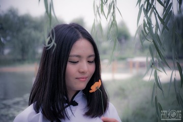 PAN_8249