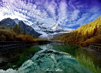未标题_全景图1