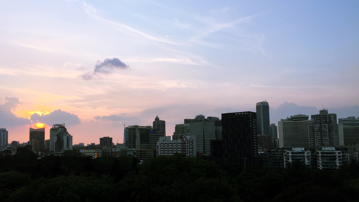 这半年每个黄昏我都望向窗外