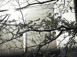 PC102215.jpg