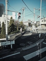 PC113050.jpg