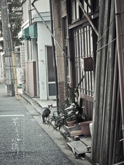 PC113105.jpg