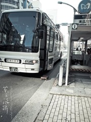 PC113195.jpg