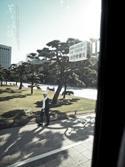 PC113215.jpg