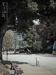 PC113248.jpg