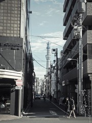 PC113307.jpg