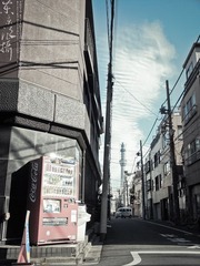 PC113324.jpg